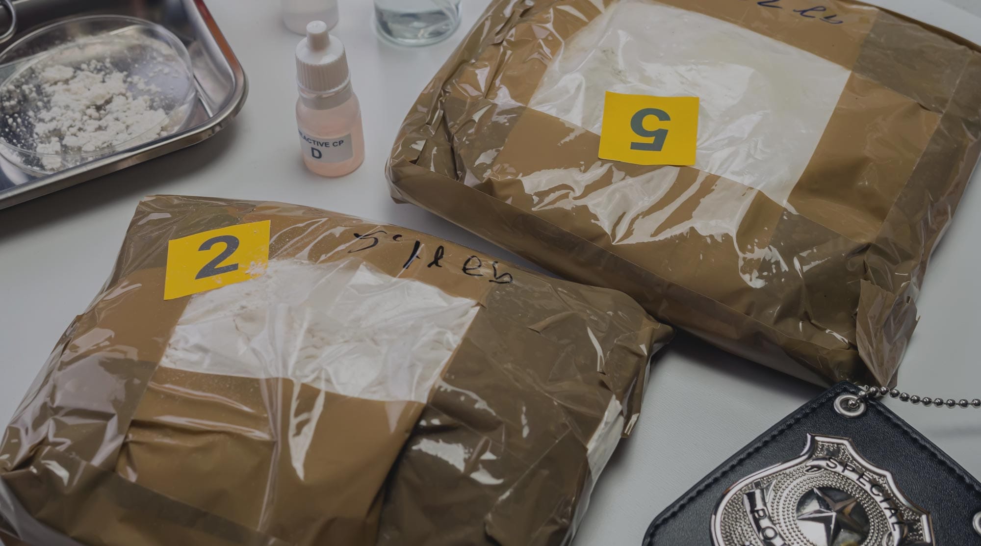 Federal Smuggling Charges in San Diego